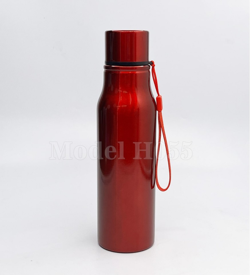 800ml Stainless Steel Water Bottle | Leak-Proof & Branded – H055